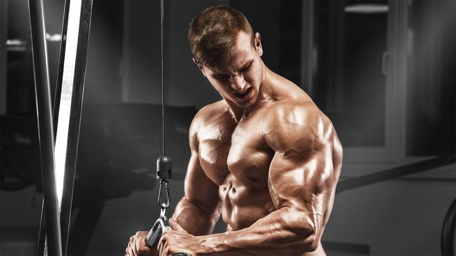 Study Finds Steroids Boost Muscle Recovery Speed and Quality in Bodybuilding